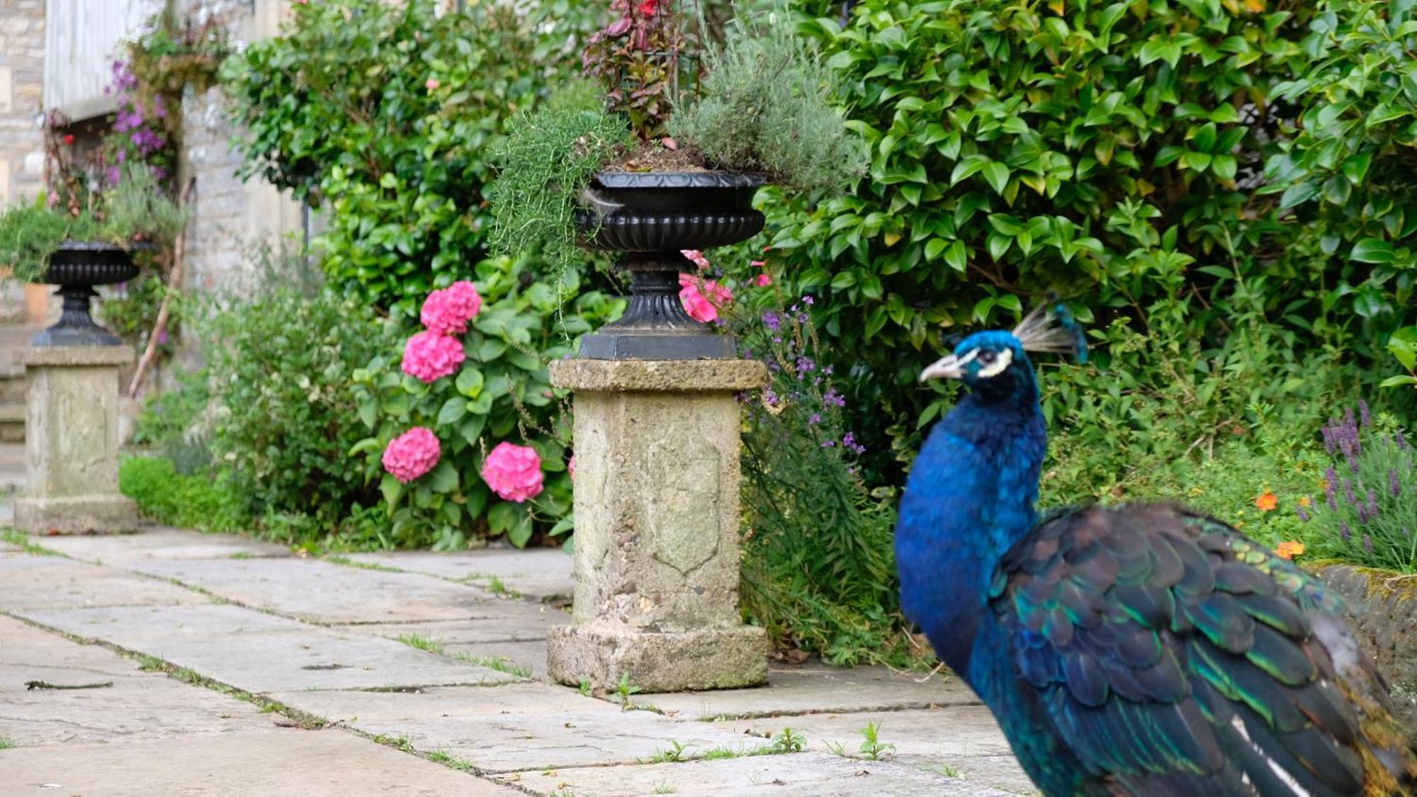Simonstone Hall Hotel Hawes Zewnętrze zdjęcie